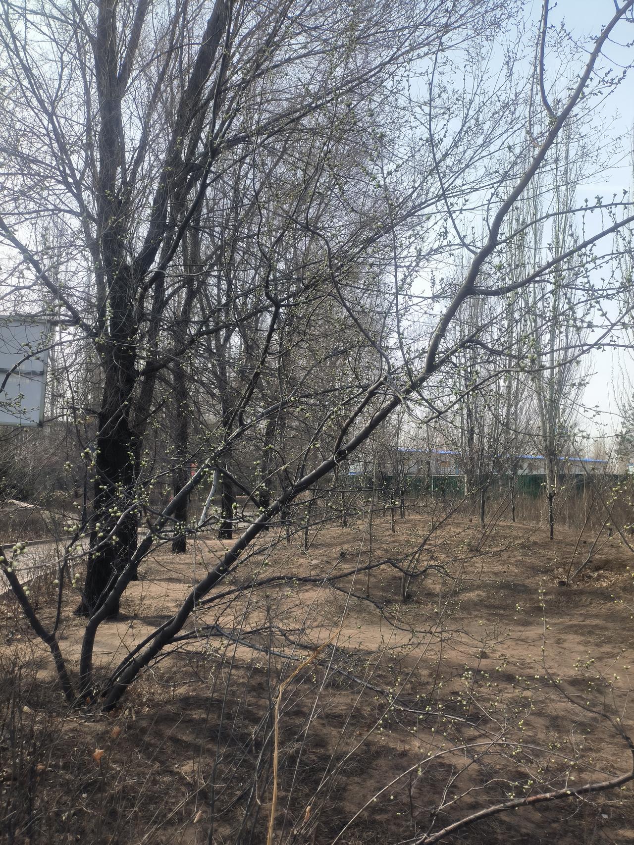 内蒙反腐力度不减，又有十多名公职人员被调查，说实在的，见怪不怪，林子大了什么鸟都