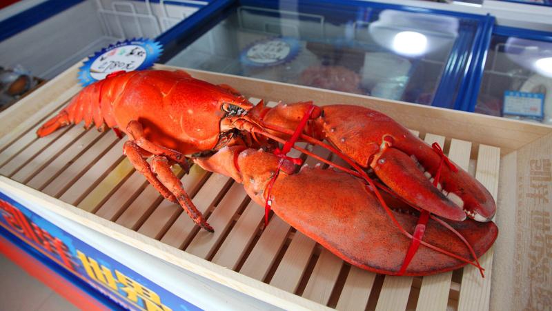 龙虾🦞大战，有小龙虾🦞，大龙虾🦞，澳洲龙虾🦞，Aptly龙虾🦞