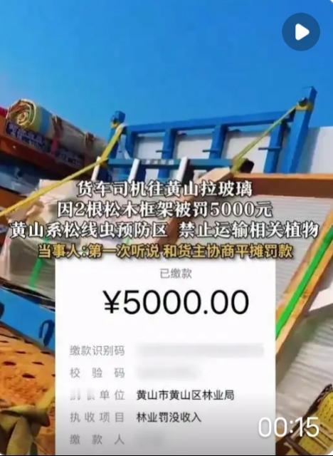 黄山5000元罚单引众怒：货车司机拉松木框架被罚，冤吗？“冤不冤？”12月