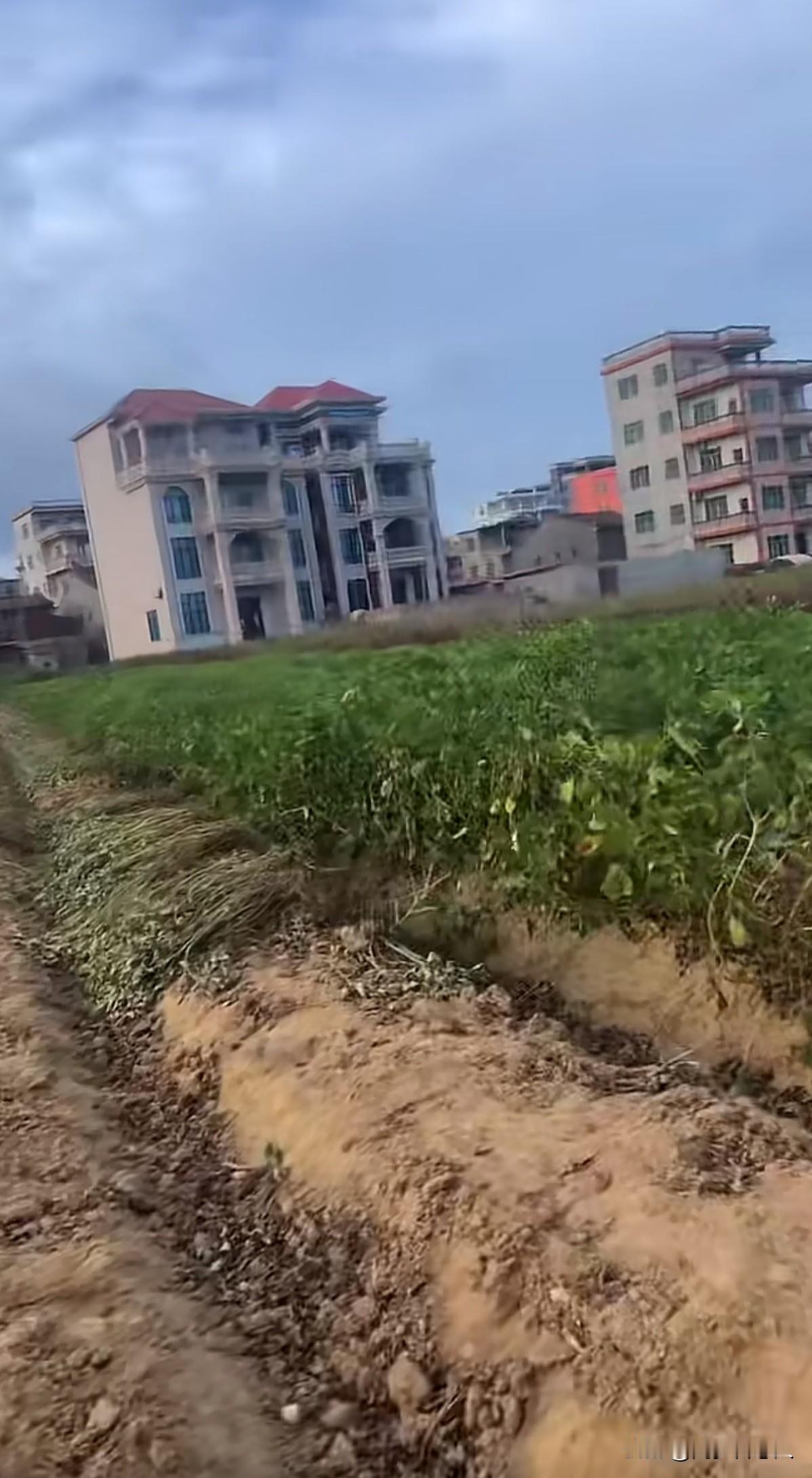 80后的我一点都不怀念小时候，回想起小时候就怕！每年放暑假，天不亮就会被父母叫