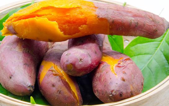 1593年，福建发生大旱。一名男子冒死从菲律宾带回一根藤蔓，数千万人因此获救。然