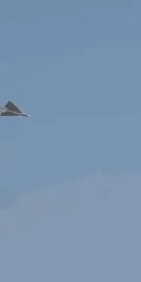 光辉坠机后，印度采取了3个惊人惊叹的行动：第一步，对网上报道印度坠机的新闻