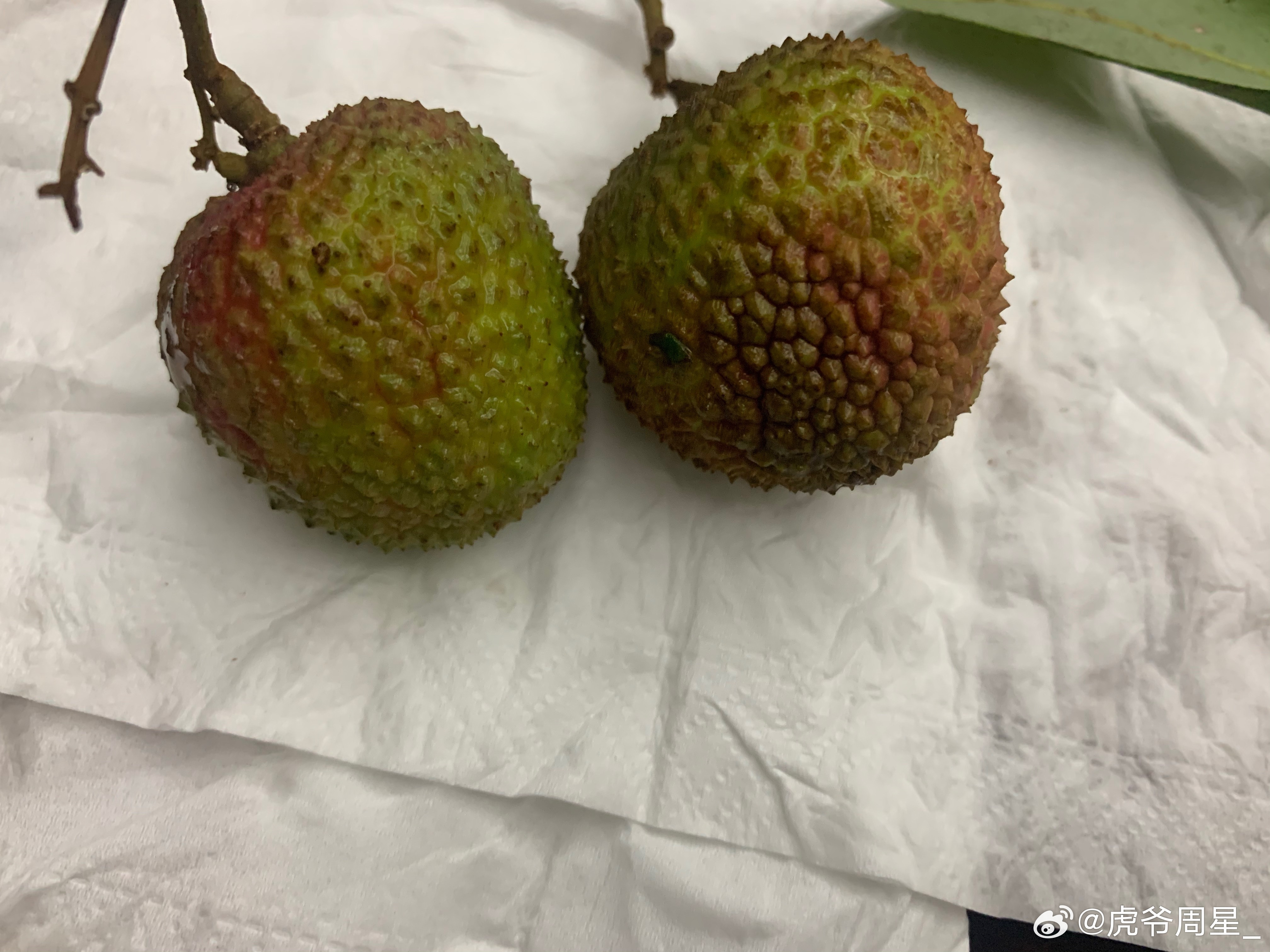 活荔枝死荔枝什么鬼！什么活荔枝、死荔枝的，不就是新鲜荔枝和不新鲜的荔枝么，任何