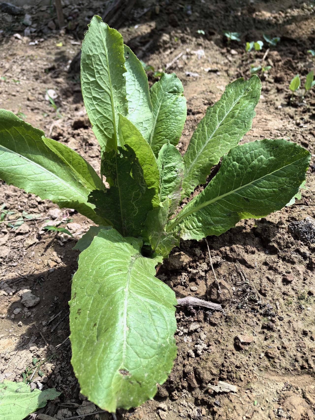 你现在买彩票一直不中，本身就是最真实的信号：赶紧停，再也别买了。我给你掏心