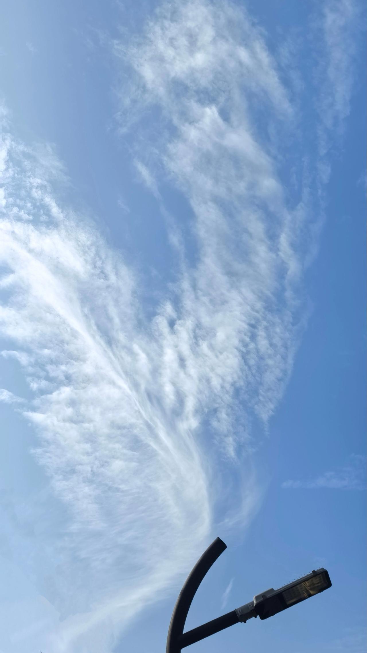 今天的天空特别美蓝天白云风景线自然景观