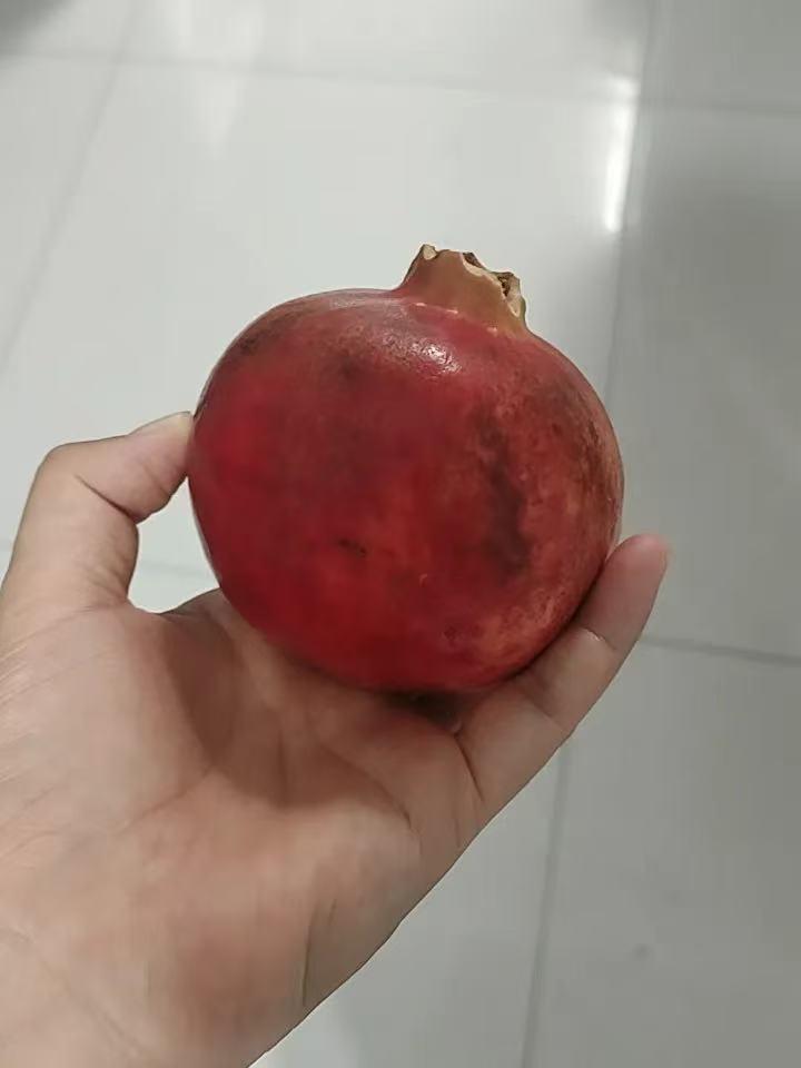 太窒息了！签完离婚协议当晚，她被丈夫整整折磨了一夜有网友分享自己的真实经历，