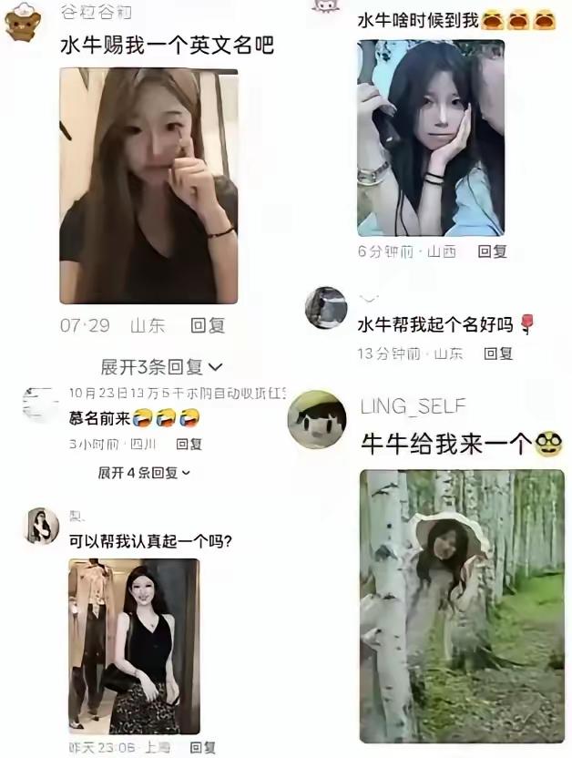单凭一个外籍身份，就让不少女生放下戒备，看完王水牛的一系列操作，实在让人