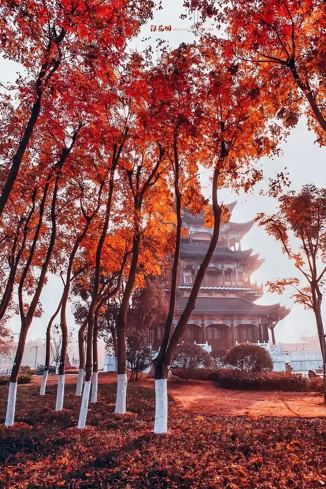 牵挂对象牵挂是心底一座不设防的城。这话不知是谁说的却说进了许多人的心里。