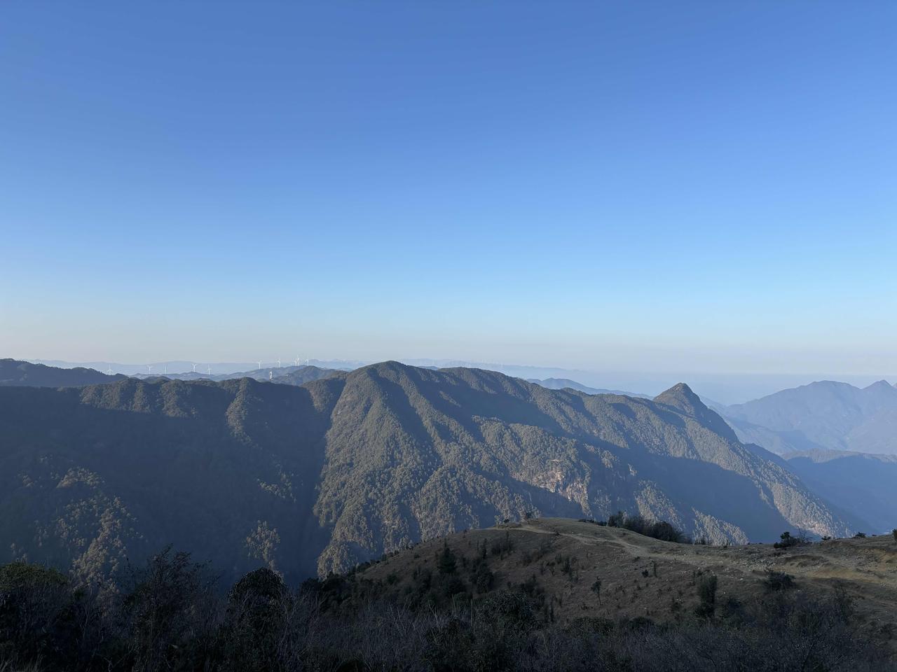 老师们哪个荣誉最难评？1．学科带头人（省级、市级、县级）2．骨干教师（省级、