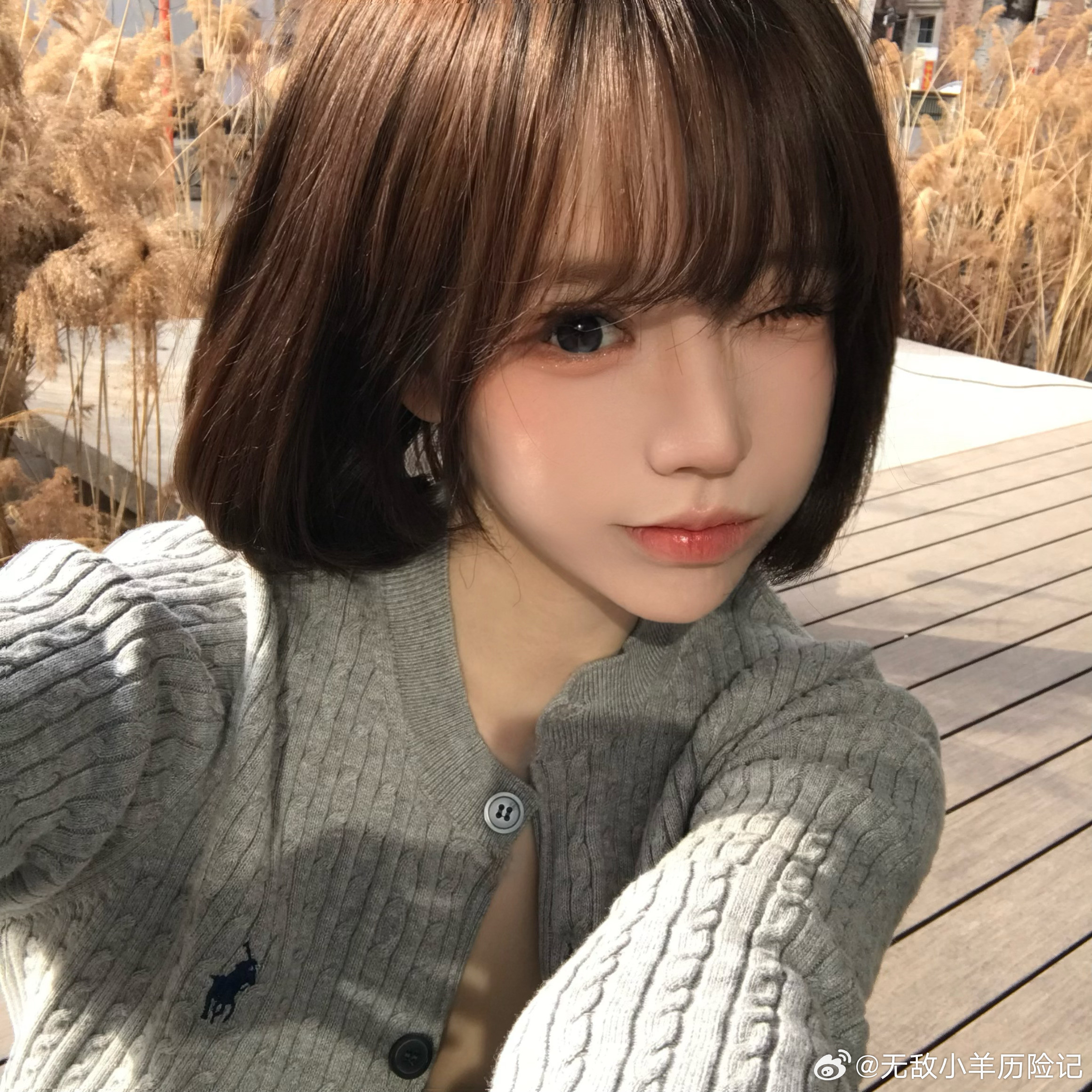 忍痛花了15块下了一个滤镜软件是有点东西！！梦回16年