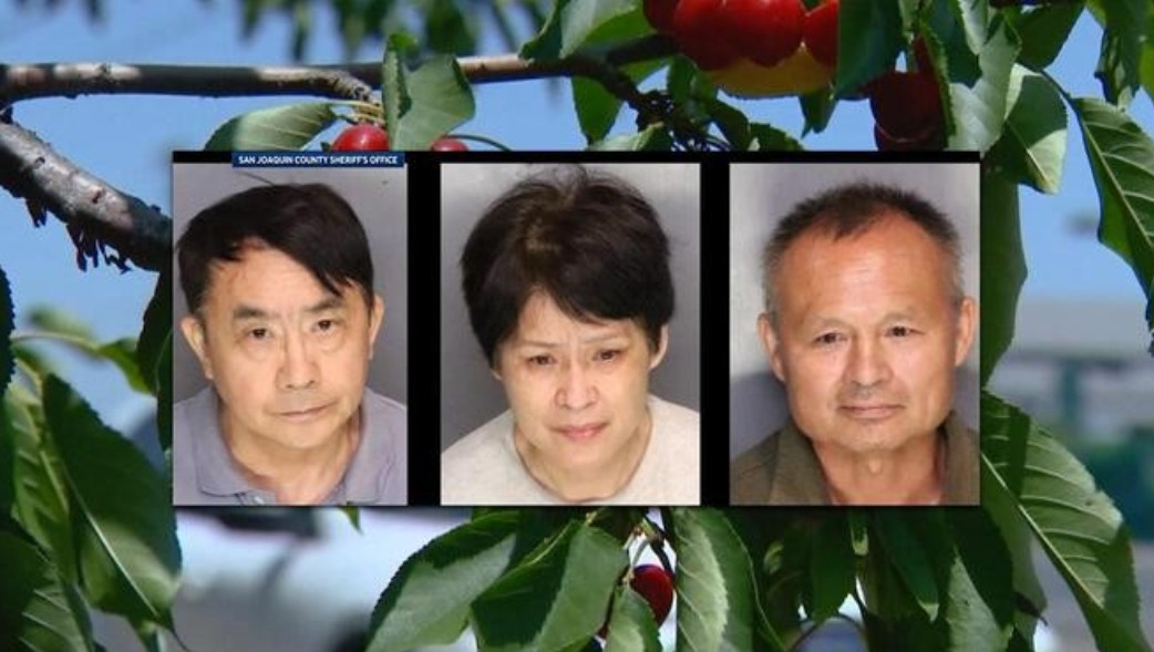 3名华人在美国偷樱桃被捕，保释金高达300万！网友炸锅了
