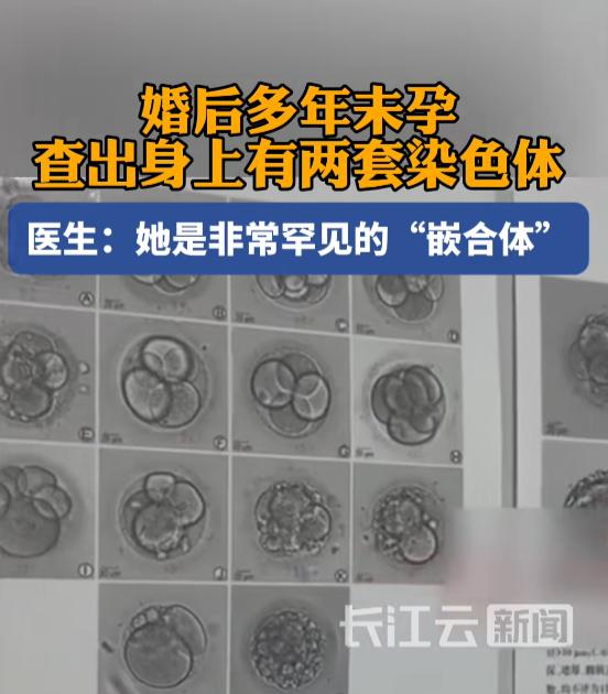 7月31日消息，河南洛阳一位女士结婚许久没能怀上孩子，去医院检查才查出身体