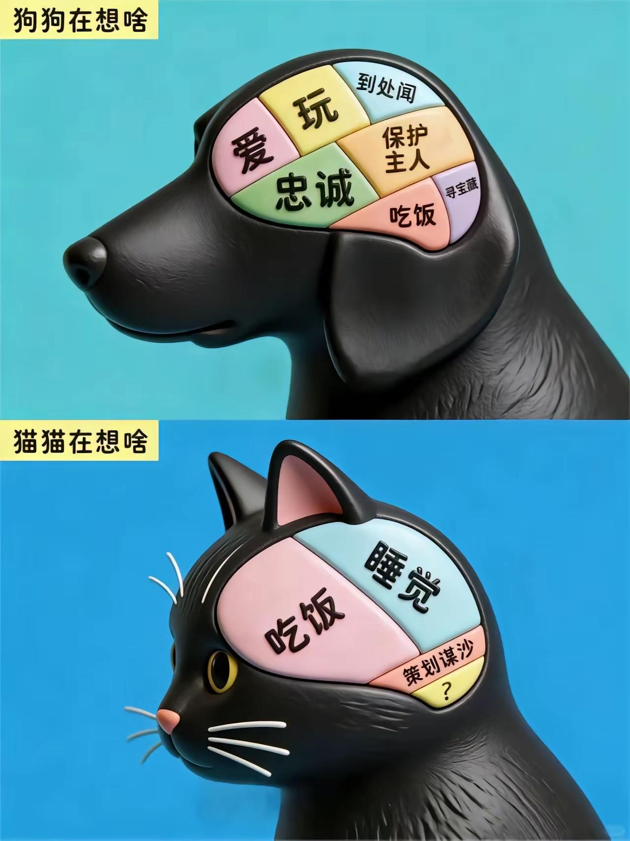 男人爱猫，女人爱狗是这样吗？🌚