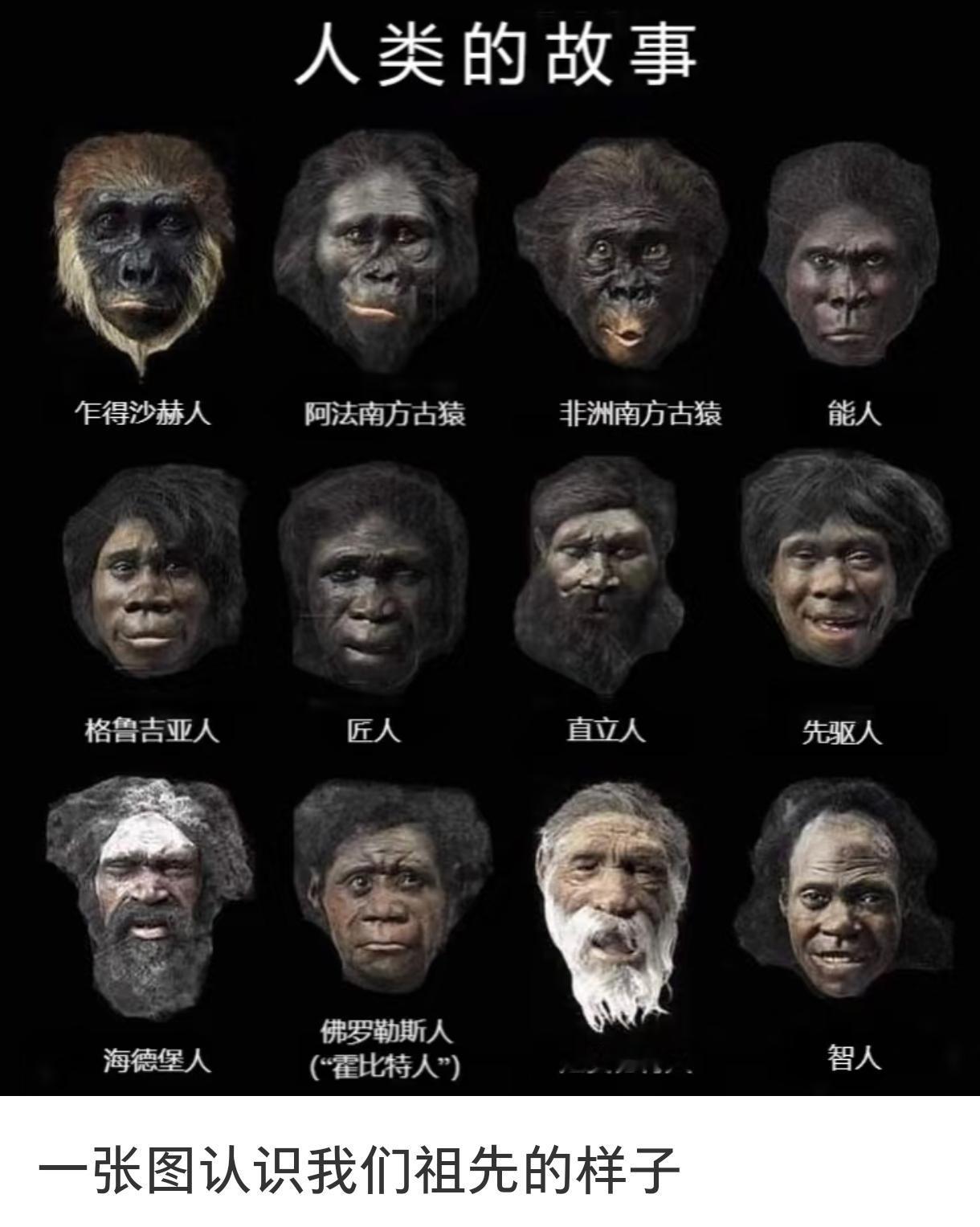 你有没有好奇过，狮子老虎从不用找盐吃，人类却把吃盐刻进基因，尝到咸味还会有快感？