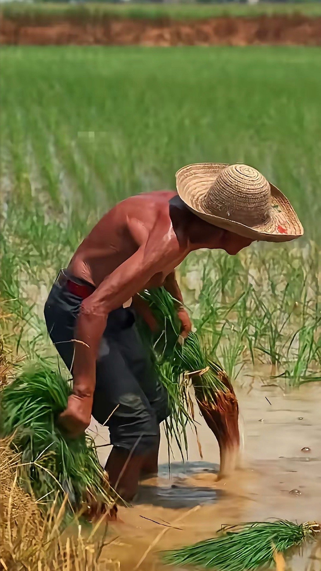 代表称农民工怕社保断缴白花钱真的该给农民工、给农村老人大大方方涨养老金了。他们一