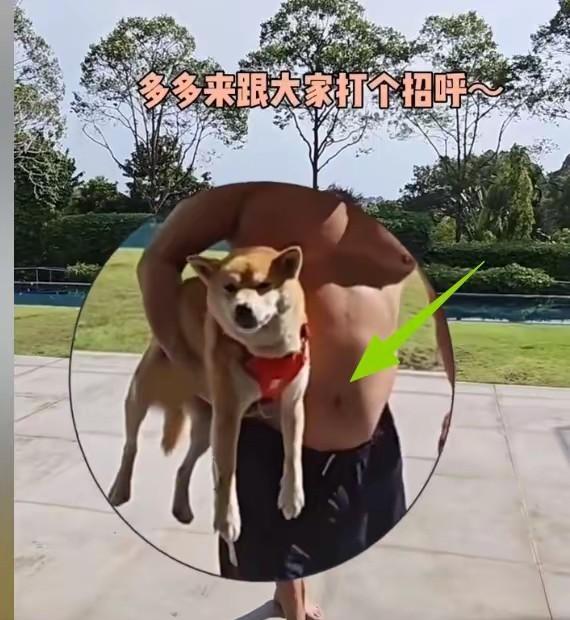 李连杰下水游泳，肚子有点肉，但没刀疤。网上说他病得快没了，他直接脱衣给你看。