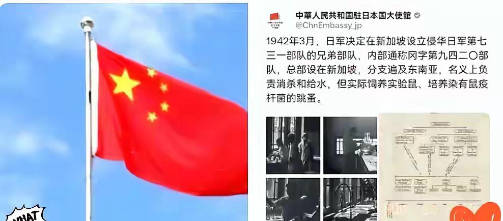 日军新加坡9420部队罪行曝光，历史心结岂能轻易放下？驻日大使馆这招够直接！