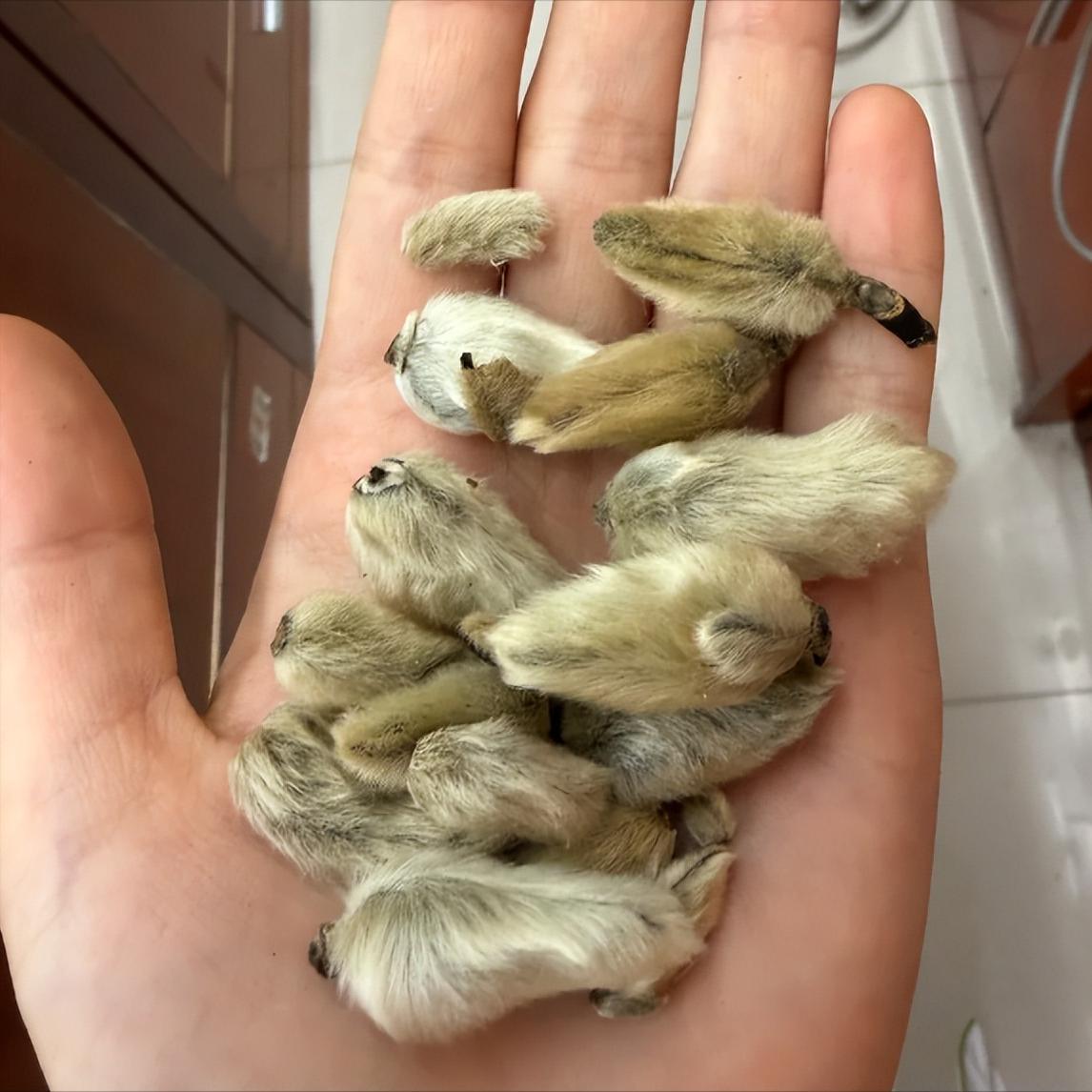肾精足了，耳朵就清净了！一个方子，让你耳根清静、脑袋清爽很多人一提到耳鸣脑鸣，