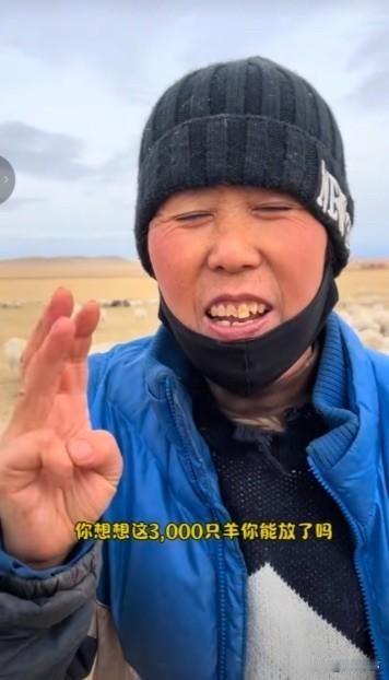 在内蒙古放牧1000多只羊的一位大姐告诉网友，千万不要去帮内蒙古那个老板放羊，