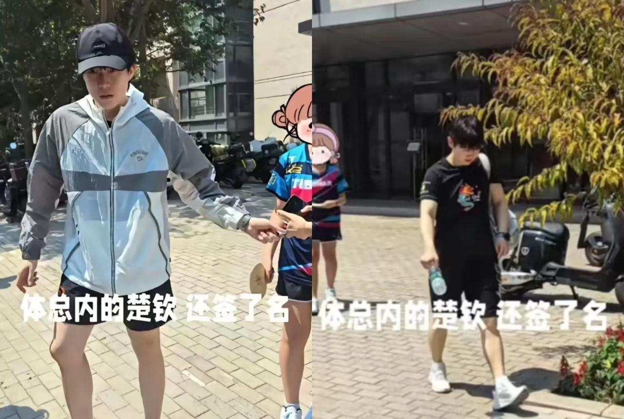 这不又闭环了吗，一看就知道一起出的门口，今天的糖点是真多，先是钦阳。优秀的两小