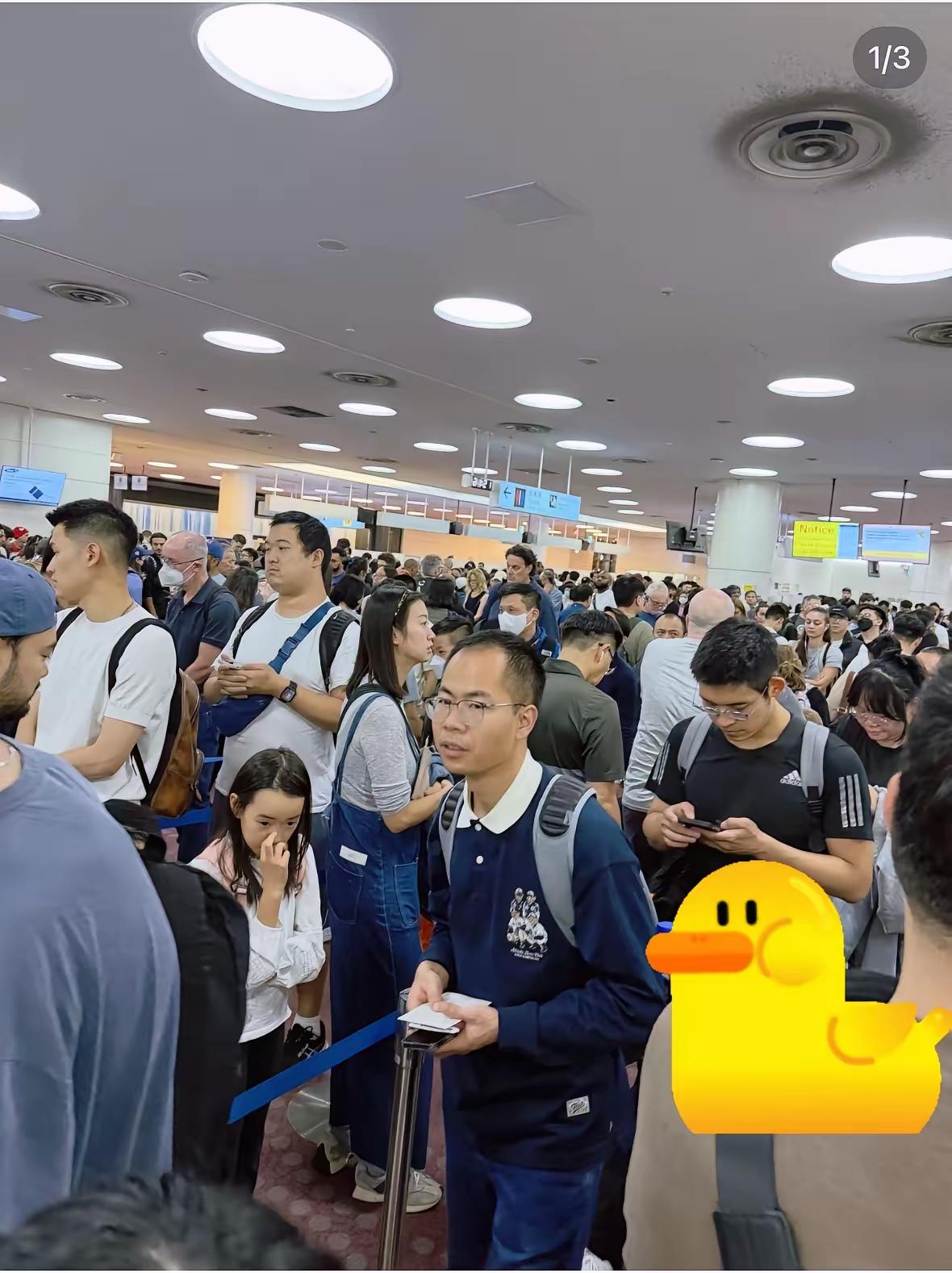 崇洋媚外之辈，不屑管，跑出去丢人现眼，怪不得日本人瞧不起我们。日本机场的东方大