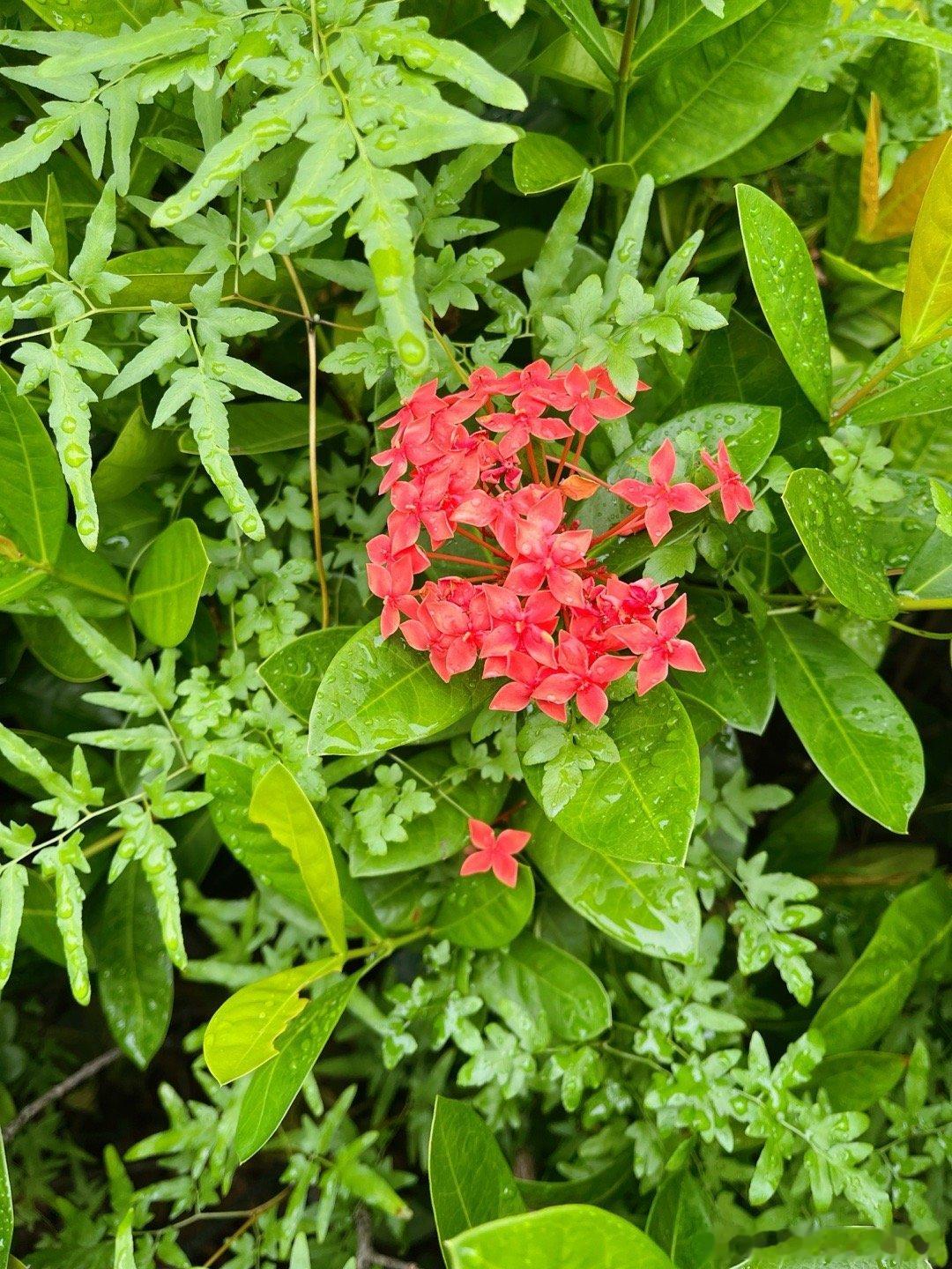 你越轻松,越不在乎结果,结果反而越好。——曾仕强