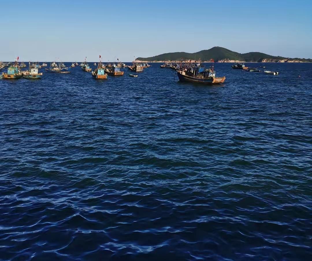 我也曾以为，人要的是陪伴，是性，是搭伙过日子，是老了有个端茶倒水的人。直到我看到