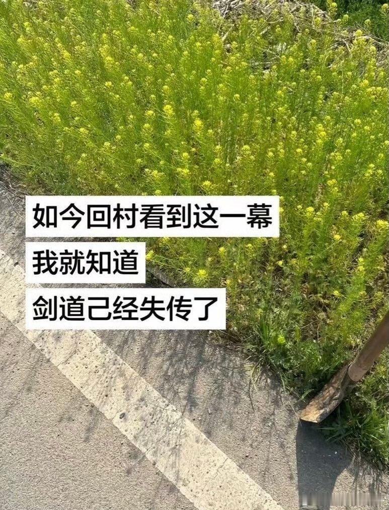 不行了，小时候真拿这个练过……