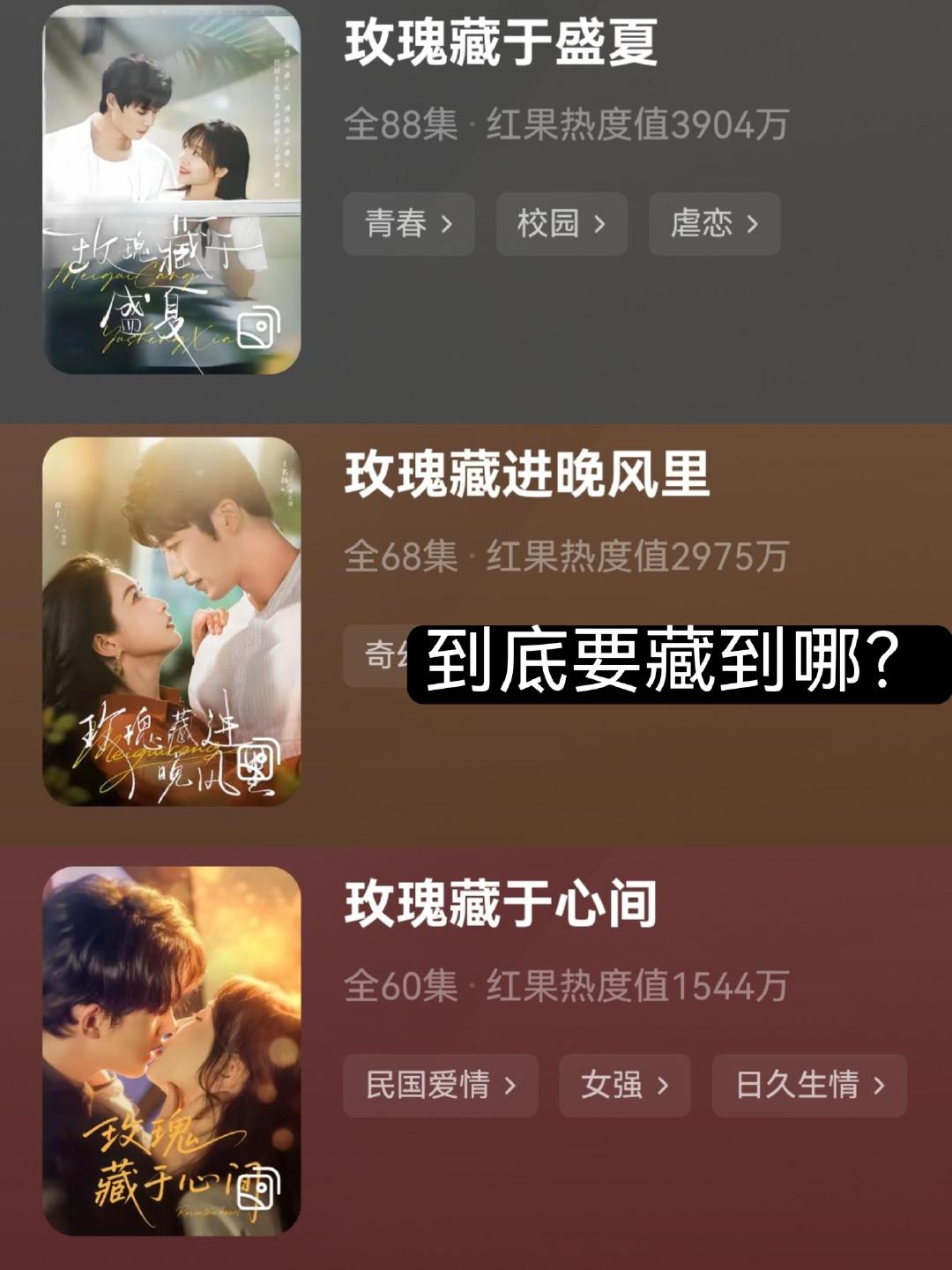 短剧玫瑰大棚短剧玫瑰种植园晕玫瑰了