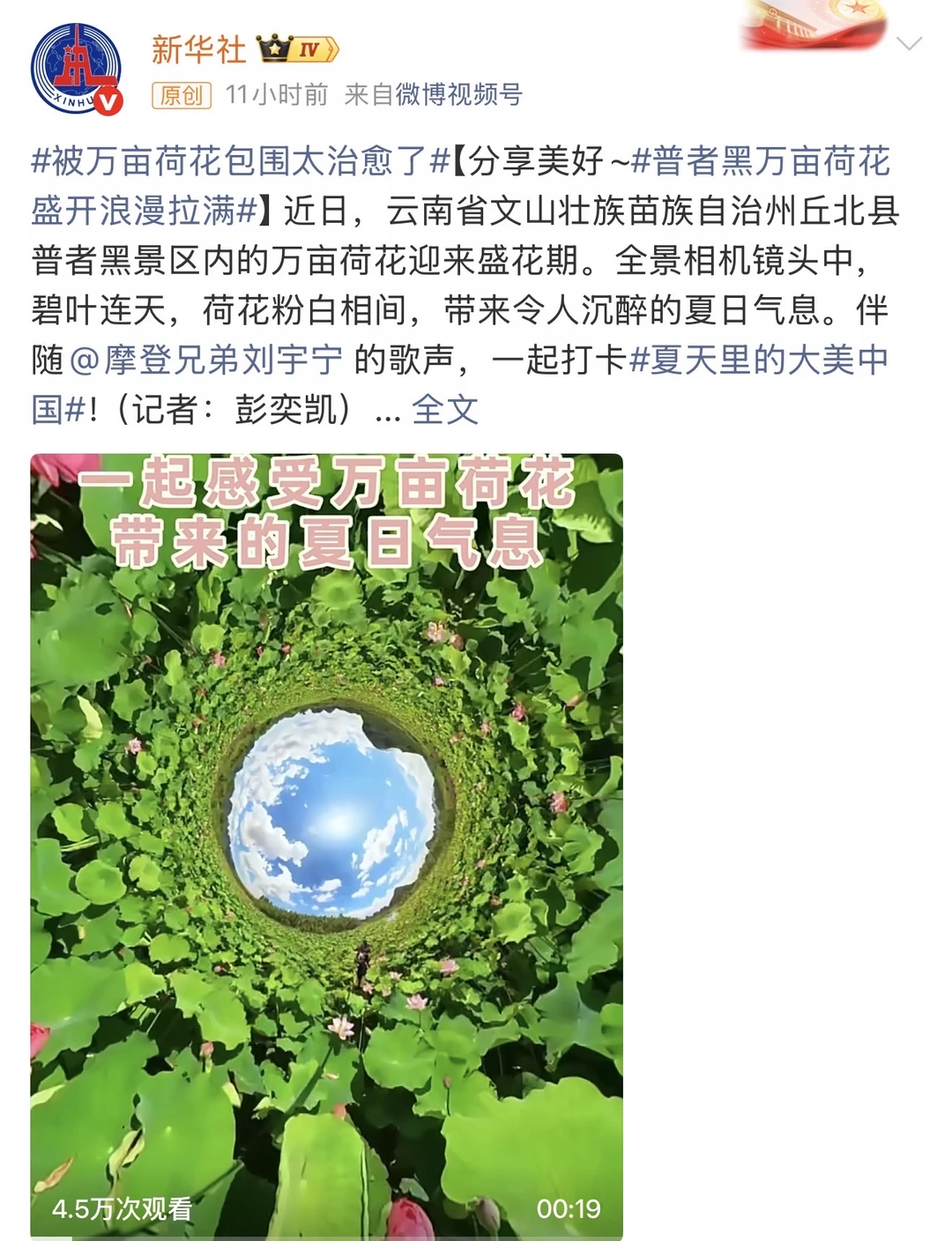 我发现！新华社天天想着法子打call刘宇宁！