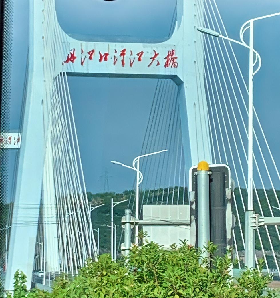 如果我退休了，我不会待在家里养花种草、打牌搓麻，更不会与一群老大妈东家长西家短地