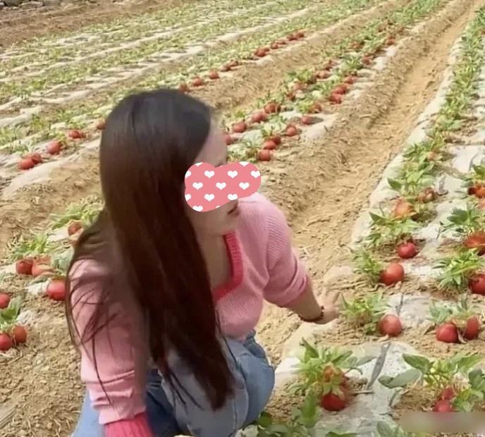 现在的西红柿都这么长了吗？[？？？]我差点就信了！在线等个懂行的给解释一下，这