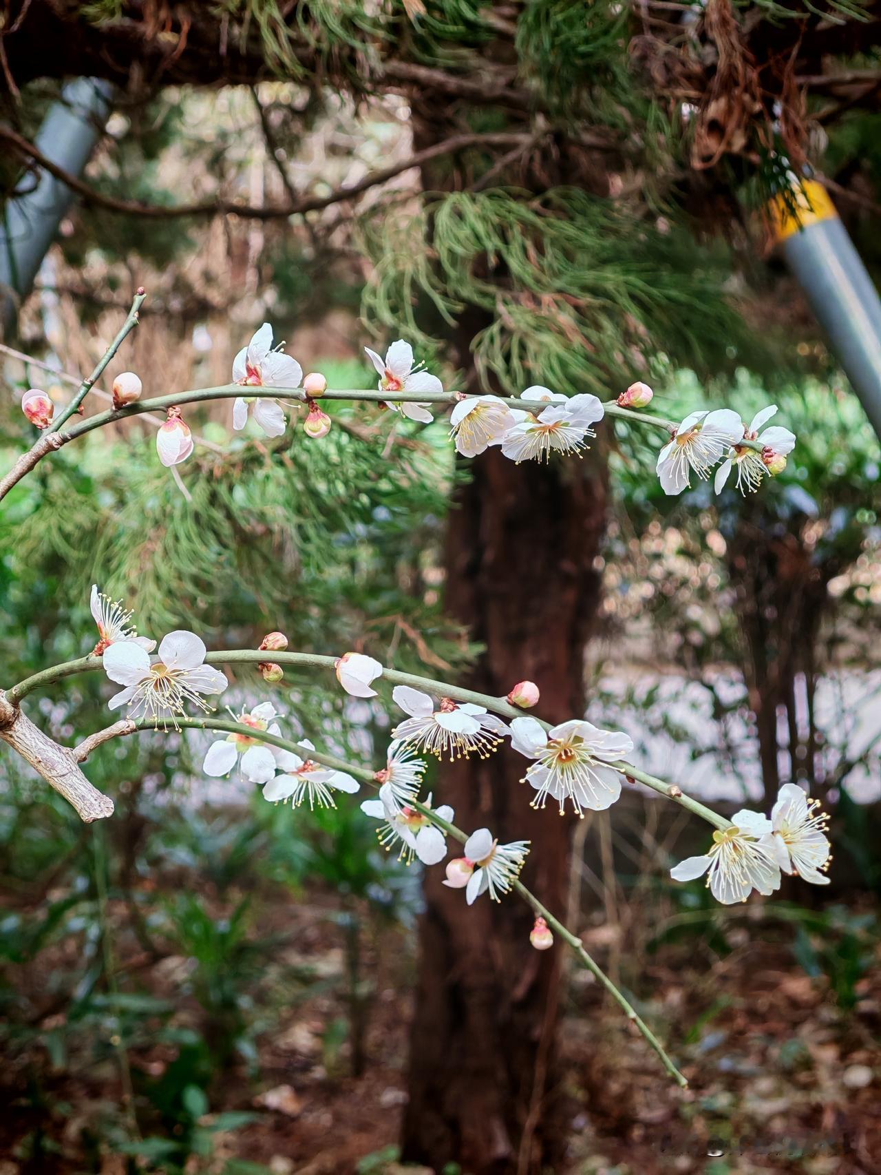 人老了，才是真正的渡劫你有没有发现人老了，真的没有赢家，无论你年轻时多风光，