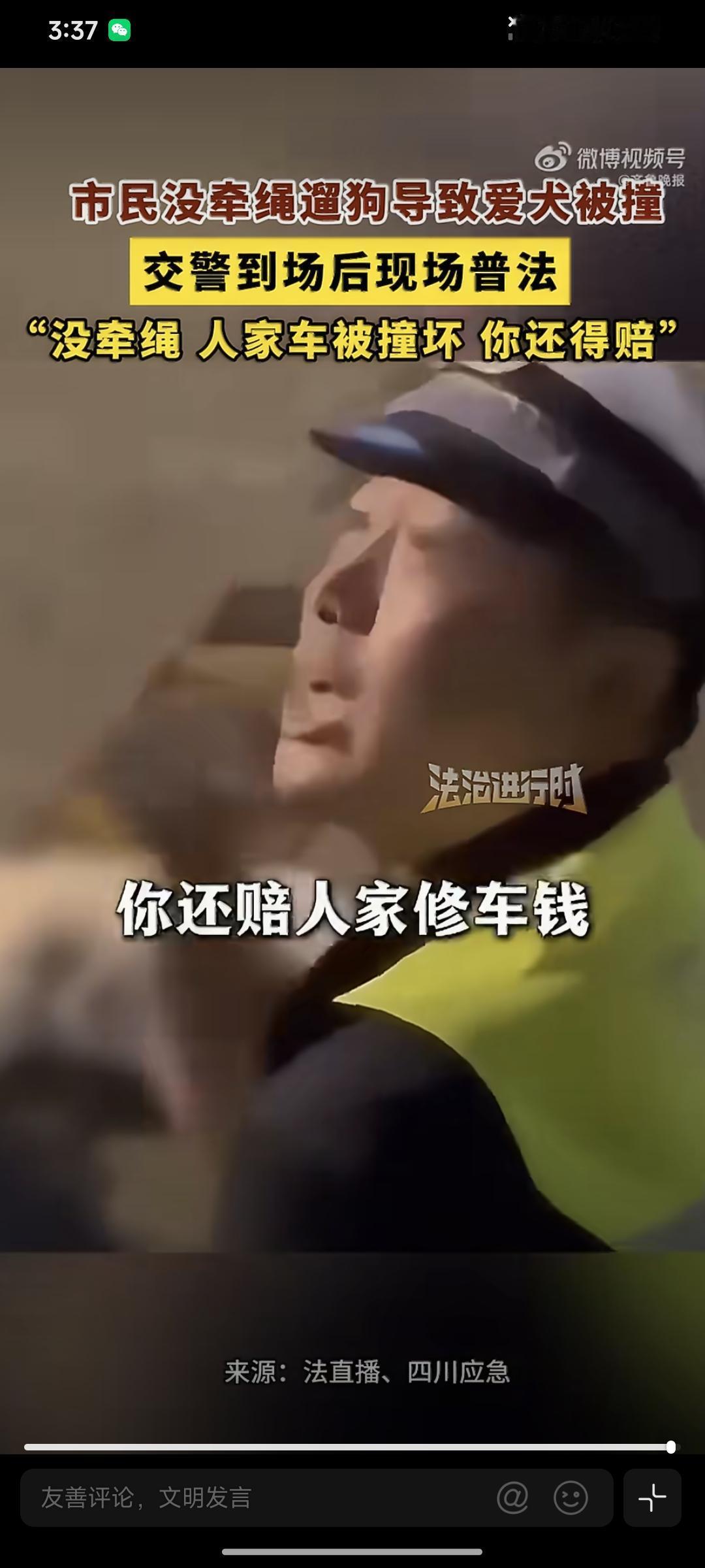 遛狗不栓绳子，狗被车撞了，车主要不要赔？如果车主没超速正常行驶，不会赔狗主人钱的