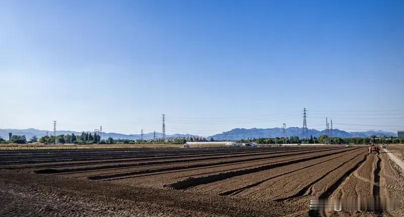有人说，以前把农民限制在土地上属于不公平。现在不限制农民了，让农民自由发挥，但还
