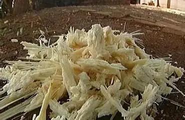 印度每年榨糖剩下7500万吨甘蔗渣，堆在河边发臭，蚊虫漫天飞，可是这堆烂渣子，中