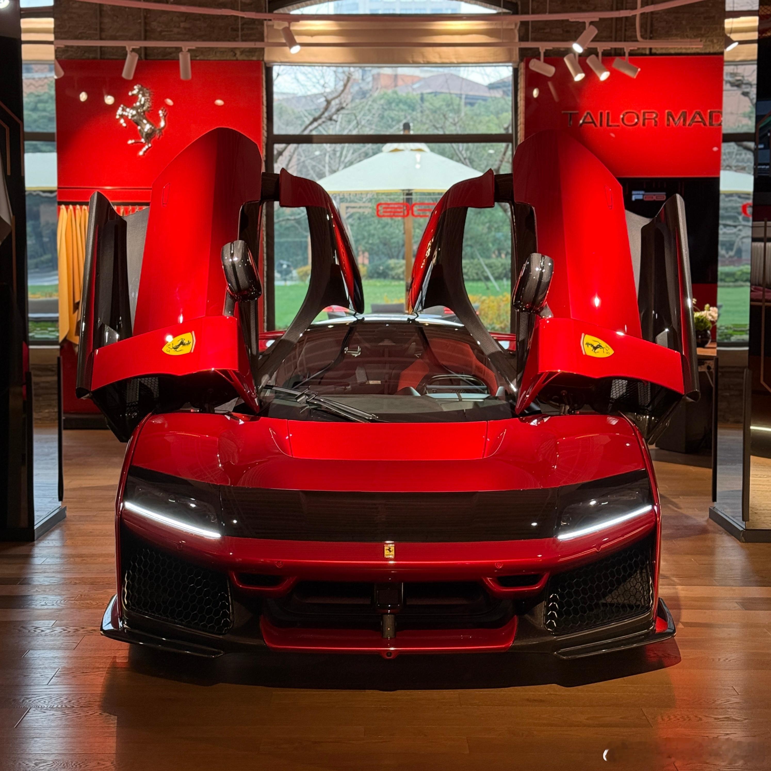 早来看看马王来给予自己一些力量！💪🏻法拉利f80