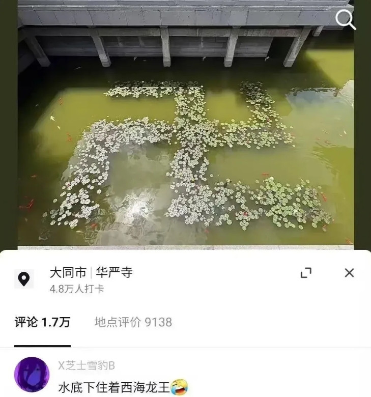 果然，人是不能吃的太饱