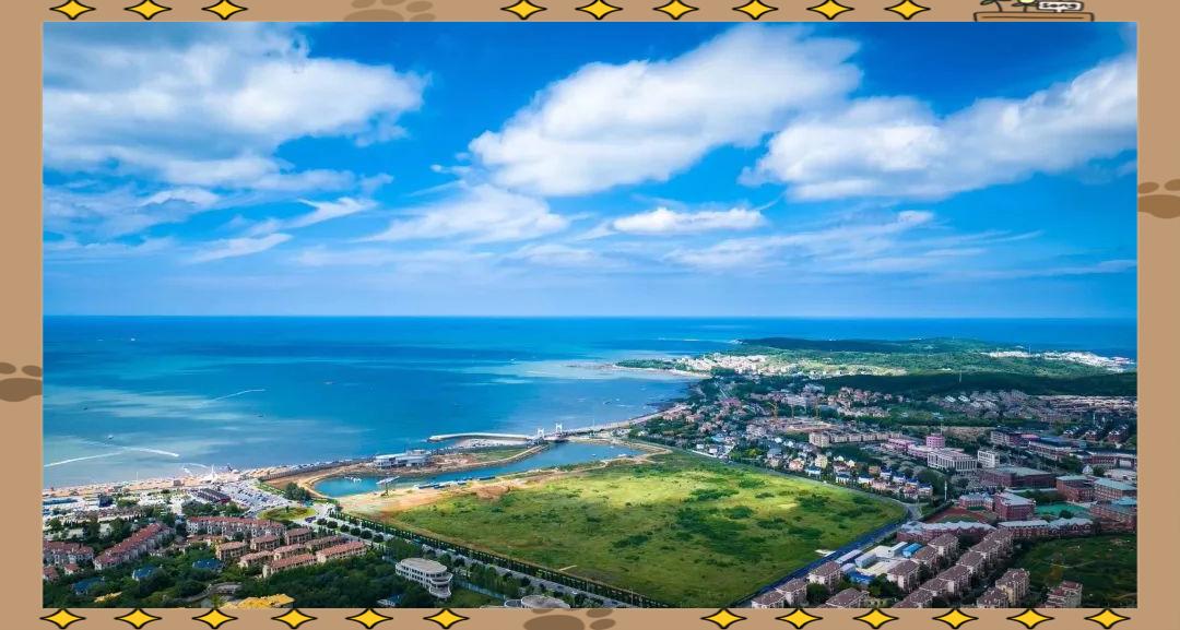 金普新区的财政表现稳定！金普新区是大连下辖的国家级新区。其经济发展态势是全市