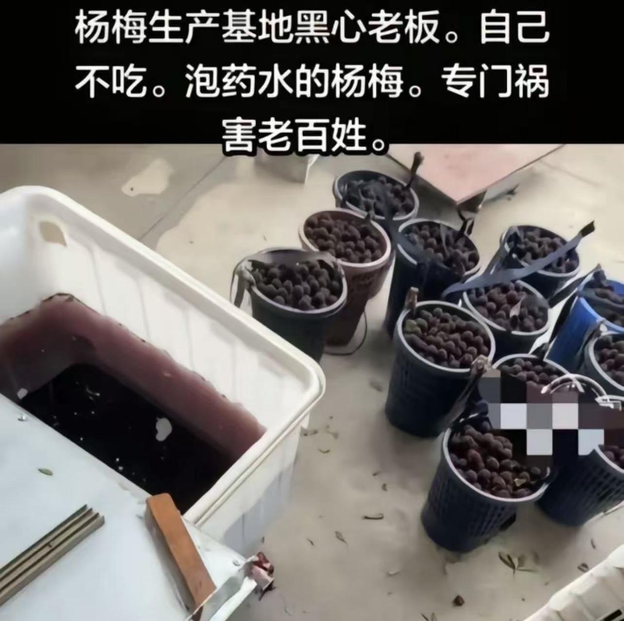 今天老婆一个问题把我问难住了：“为什么出口的杨梅，都是质量安全可靠的好杨梅？而卖