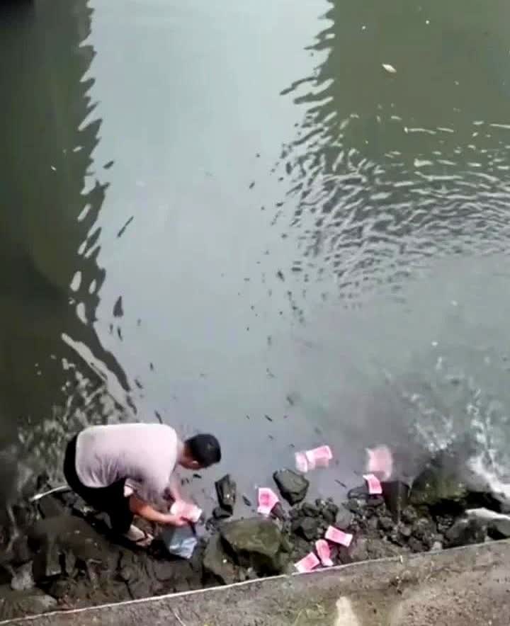 深圳宝安男子捡钱后续，据深圳宝安新安街道工作人员证实，散落现金的男子44岁，是一