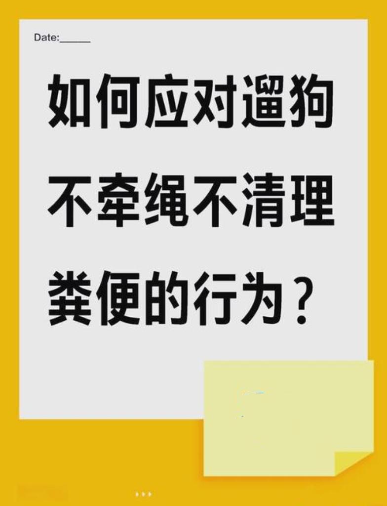养狗应注意哪些规范问题？遛狗牵绳、及时清理粪便、定期打疫苗……这些是基础。但现实