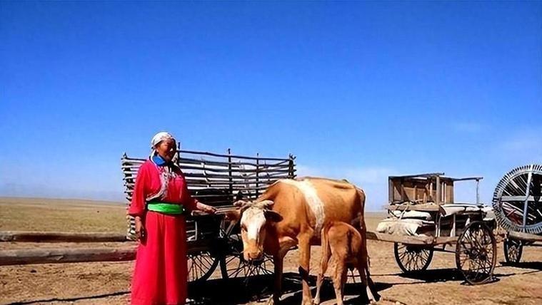 去趟乌兰巴托，你可能会大跌眼镜。走在街头，部分年轻人的情绪着实让人捏把汗。不仅