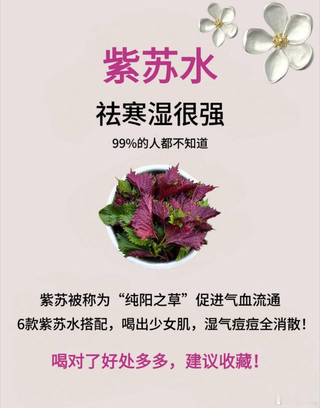 中医中药一把紫苏叶赶走寒湿！颜值飙升就靠它！今年湿气重到离谱？别怕！中认证