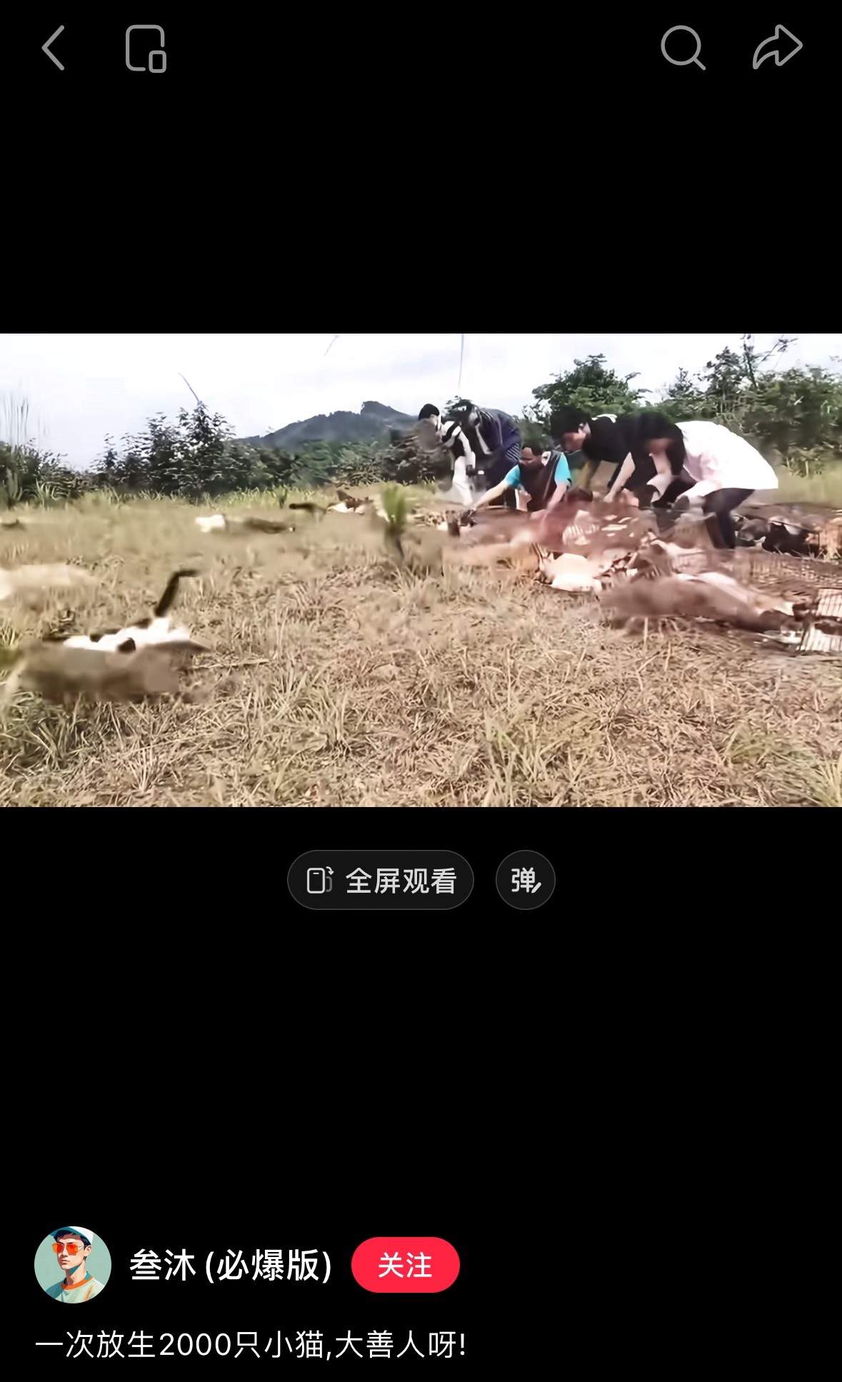 嚯，一下子放生2000只猫～动保笑话