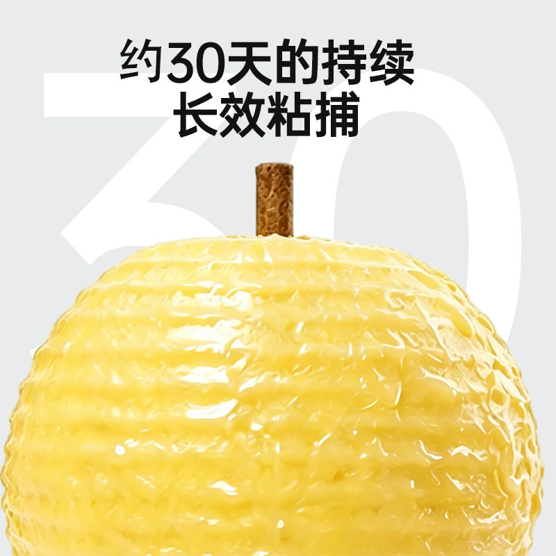 夏天气温瞬间飙升，随之而来的还有小飞虫泛滥成灾，厨房角落里神出鬼没的小飞蛾，垃圾