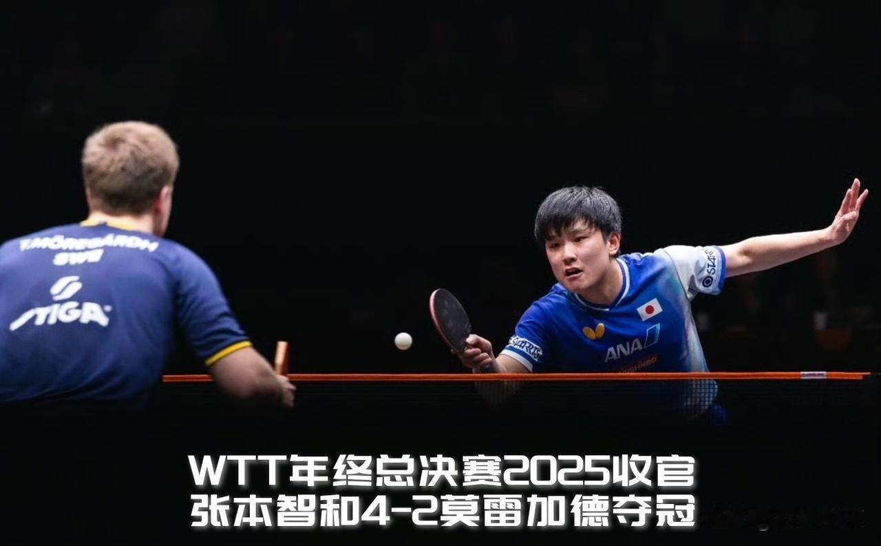 【WTT香港总决赛收官！张本智和六局击败莫雷加德夺冠！】WTT香港总决赛男单