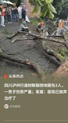 "到底谁该负责？"四川泸州，一位51岁的大哥和邻居两位大姐结伴去医院看风湿病。车