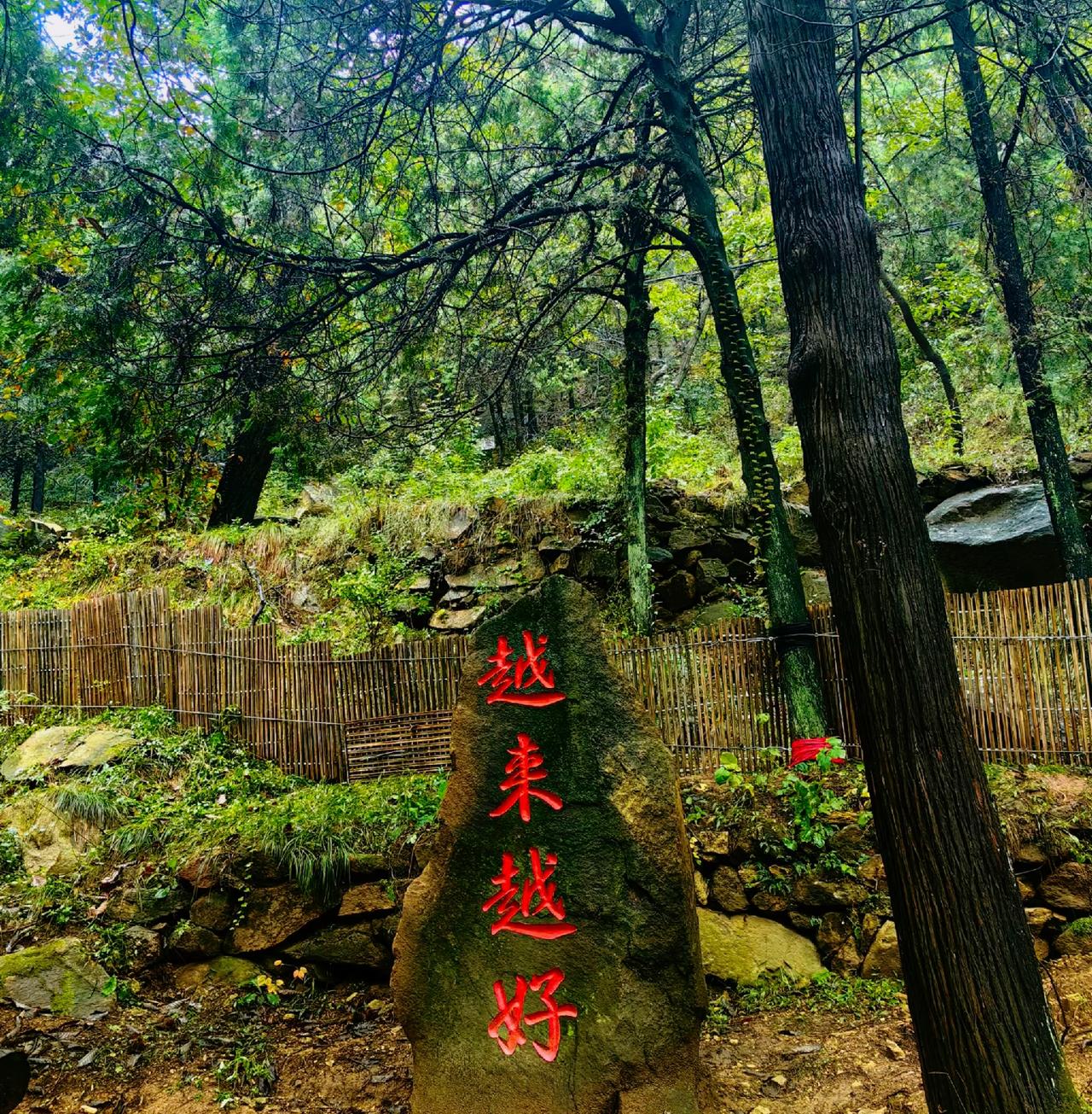 一个道家居士都无法道长解密无法解释的现象，心想事成当你要好起来的时候，你就会刷到