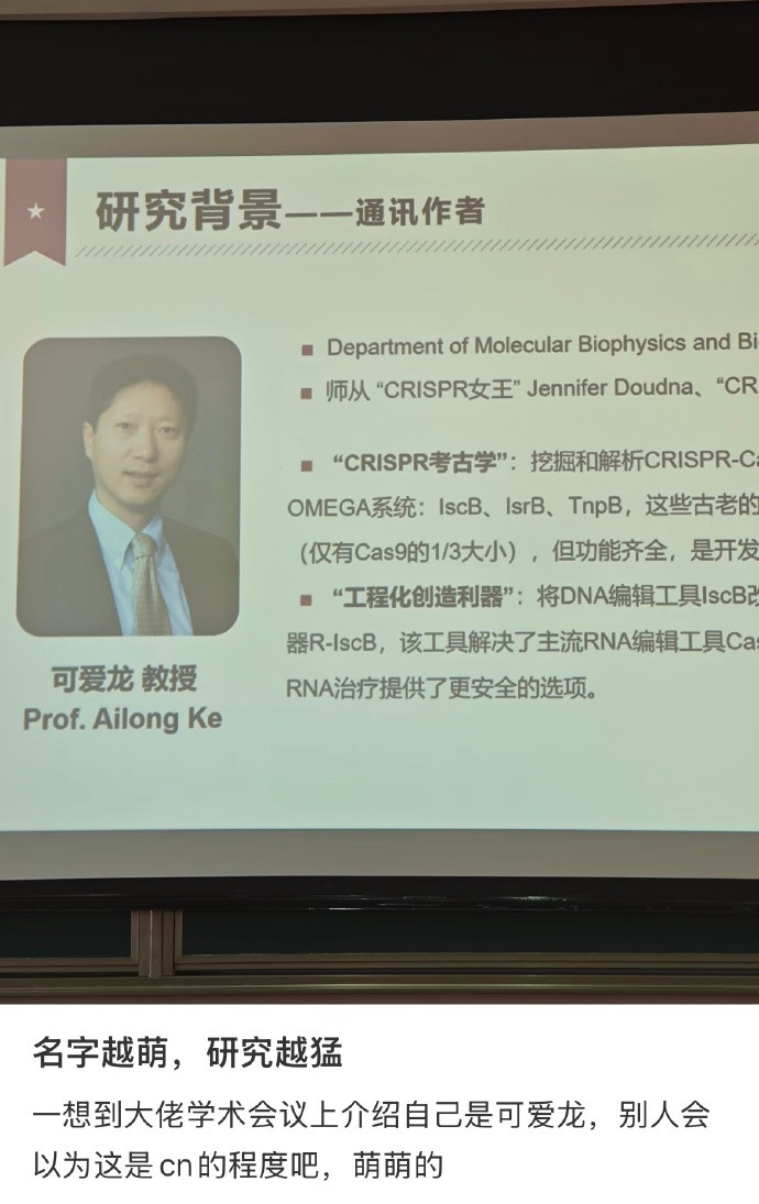 名字越萌研究越猛​​​